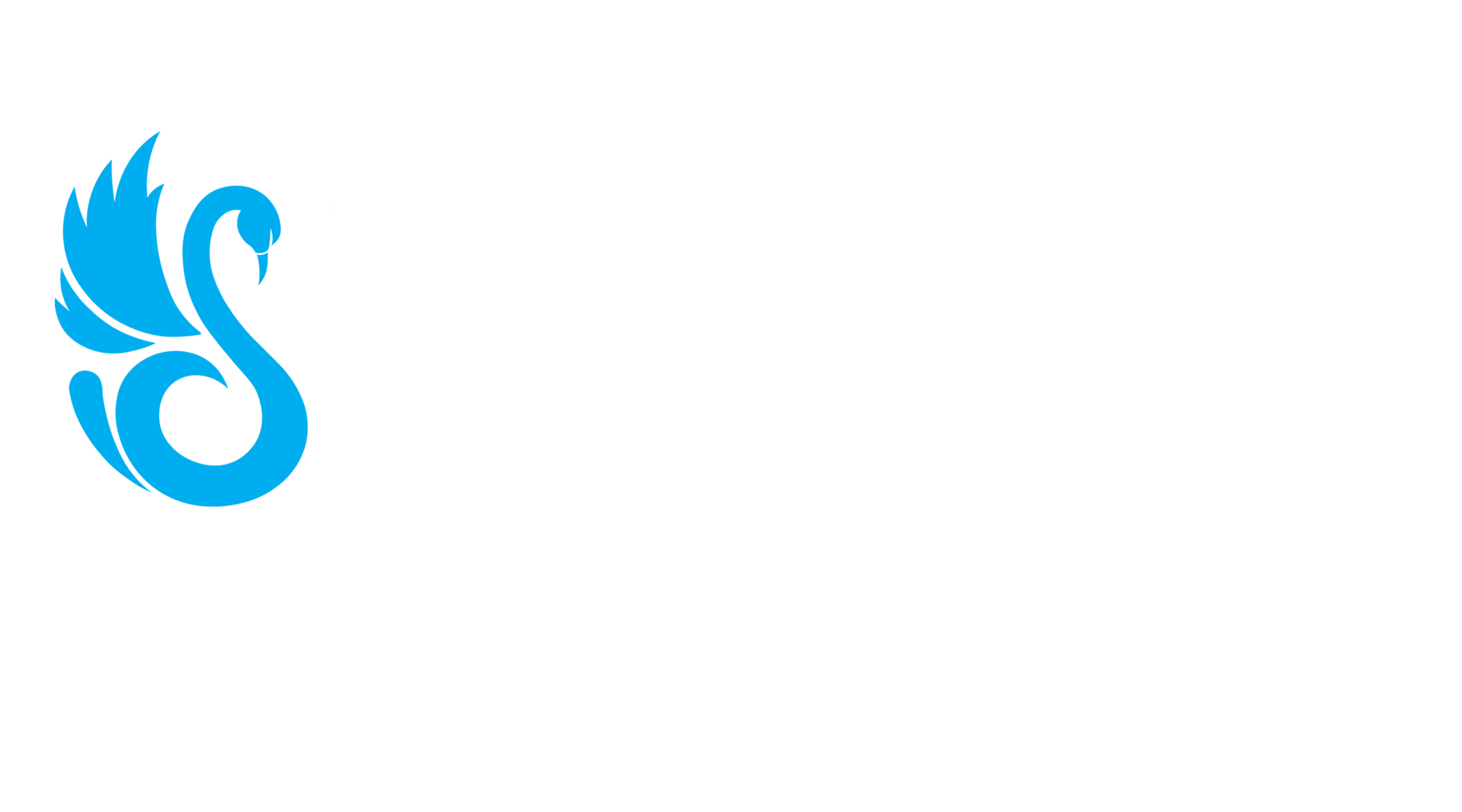 Star Advertising Agenciy